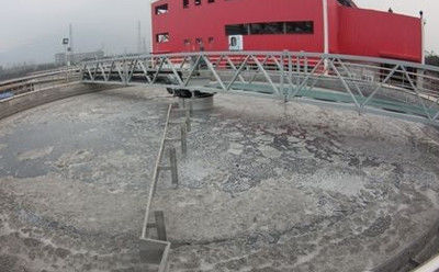 Sistem Pengikis Lumpur Transmisi Periferal, Pengikis Lumpur Bawah Stainless Steel