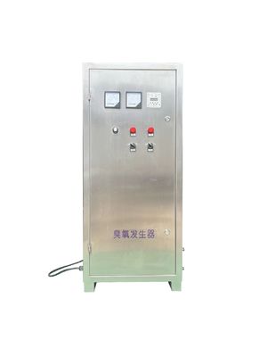 304SS Sumber Udara Generator Ozon Air Cooled Ozone Equipment Industri 10g 100g