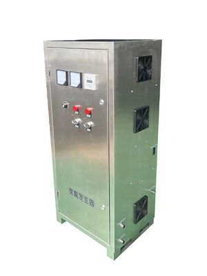 304SS Sumber Udara Generator Ozon Air Cooled Ozone Equipment Industri 10g 100g